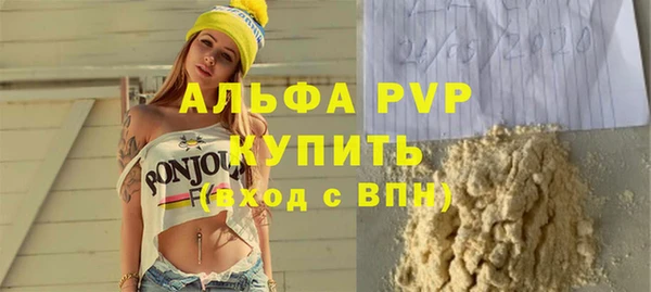 шишки Медвежьегорск