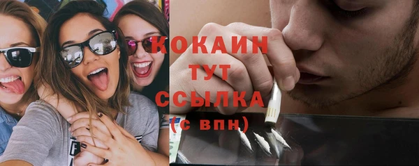 шишки Медвежьегорск