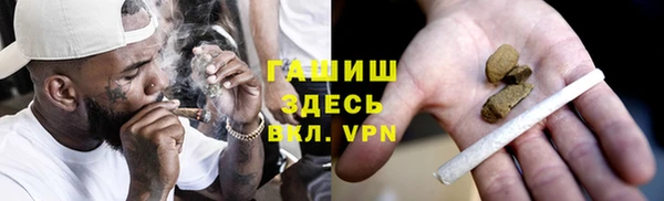 шишки Медвежьегорск