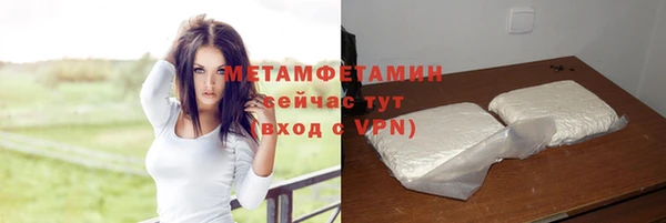 шишки Медвежьегорск