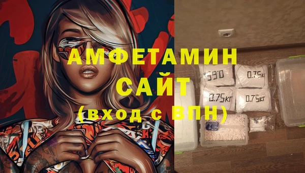 шишки Медвежьегорск