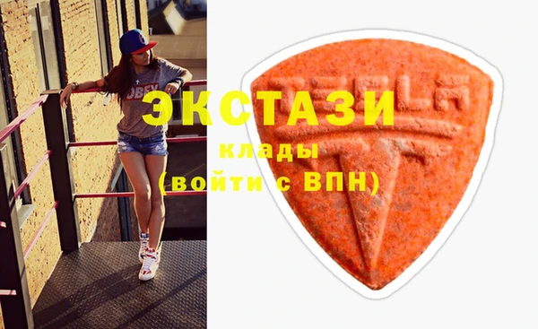 шишки Медвежьегорск