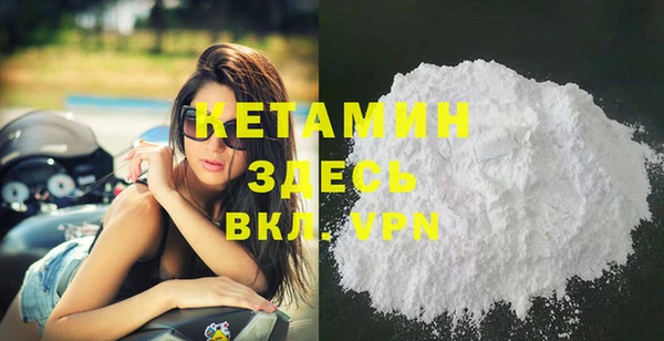 шишки Медвежьегорск
