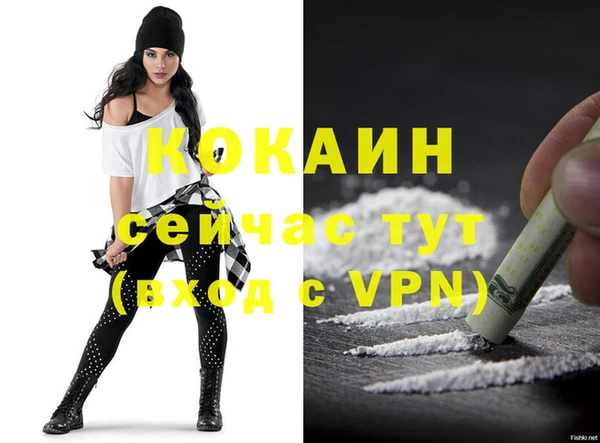 шишки Медвежьегорск