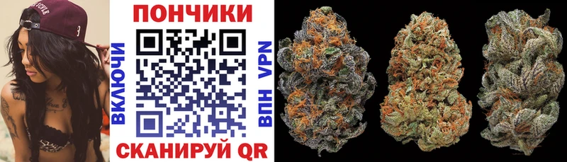 Бошки Шишки SATIVA & INDICA  Купить где  Димитровград 