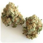 Шишки "White Widow"  (Белая вдова)  Гидропоника -  Бошка VHQ в Димитровграде